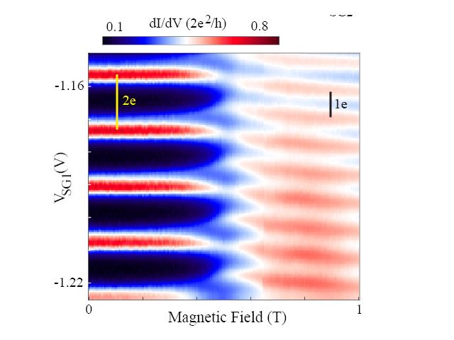Magnetotransport of Sn/InSb islands