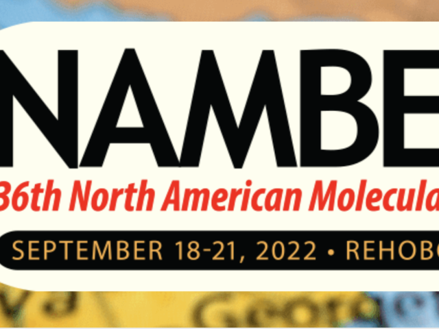2022 NAMBE conference logo